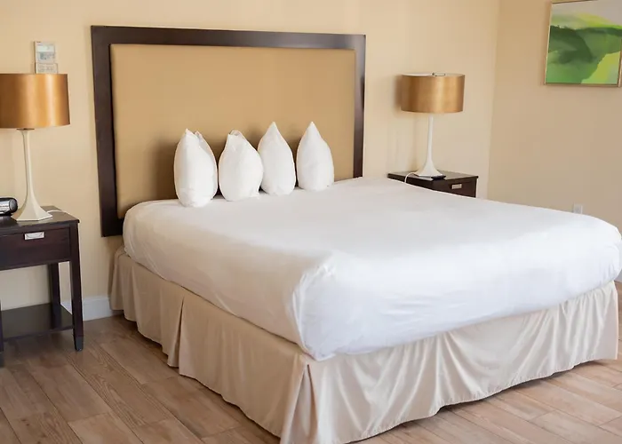 The Citrus Hotel Tavares