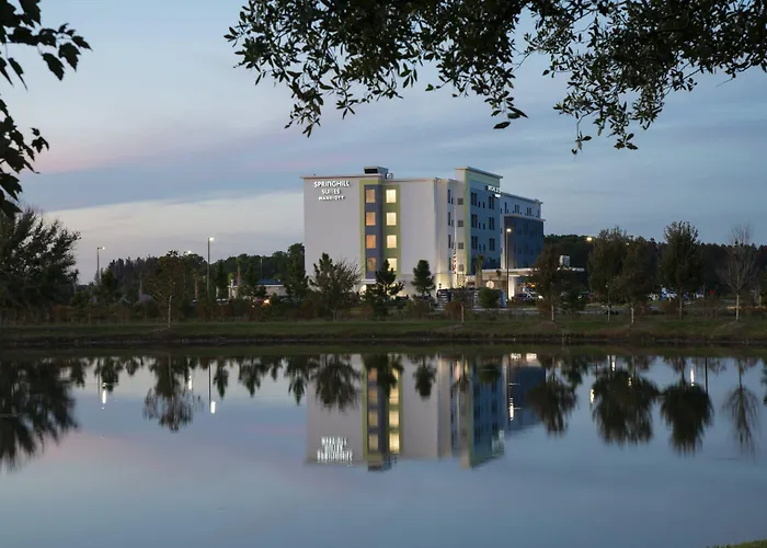 Springhill Suites By Marriott Tampa Suncoast Parkway