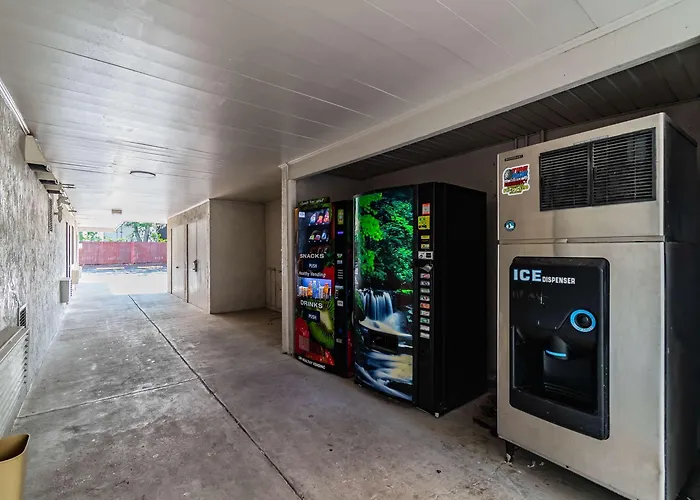 Motel 6 Tampa Near Fairgrounds - Casino Orient Park