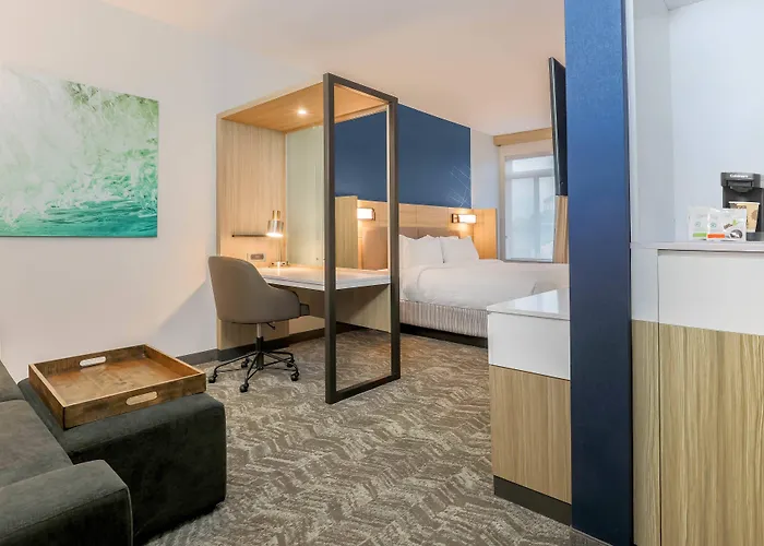 Springhill Suites By Marriott Tallahassee North