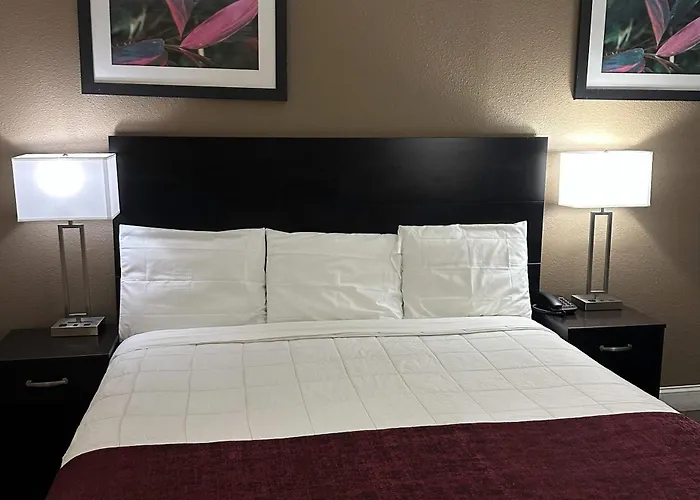 Rodeway Inn Bushnell