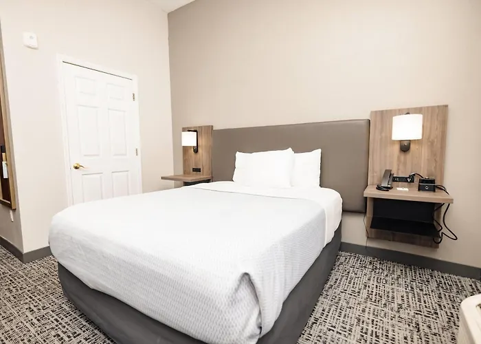 La Quinta By Wyndham Tampa Central