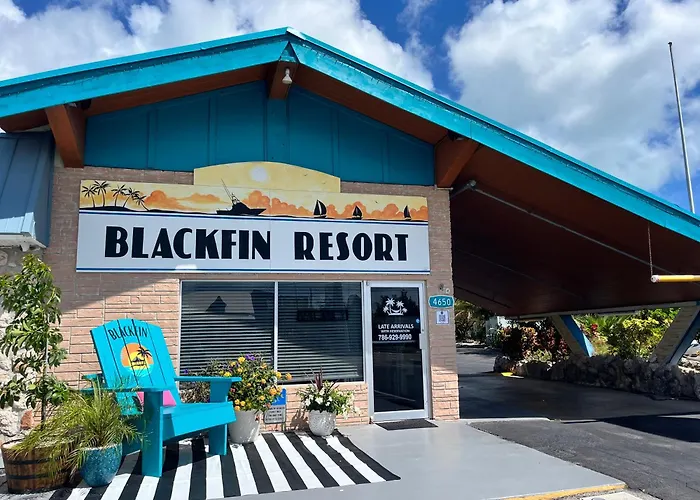 Blackfin And Marina