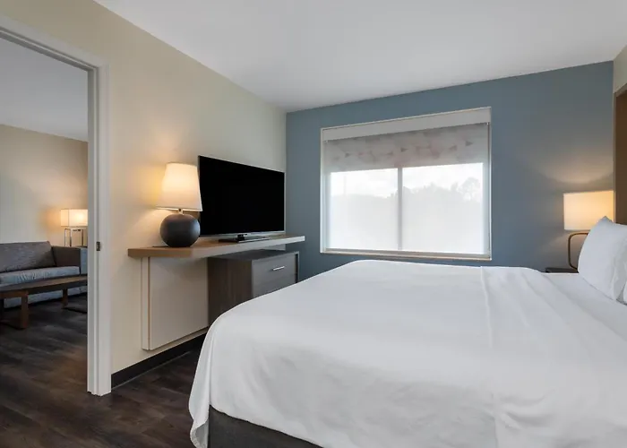 Holiday Inn - Tampa North By Ihg