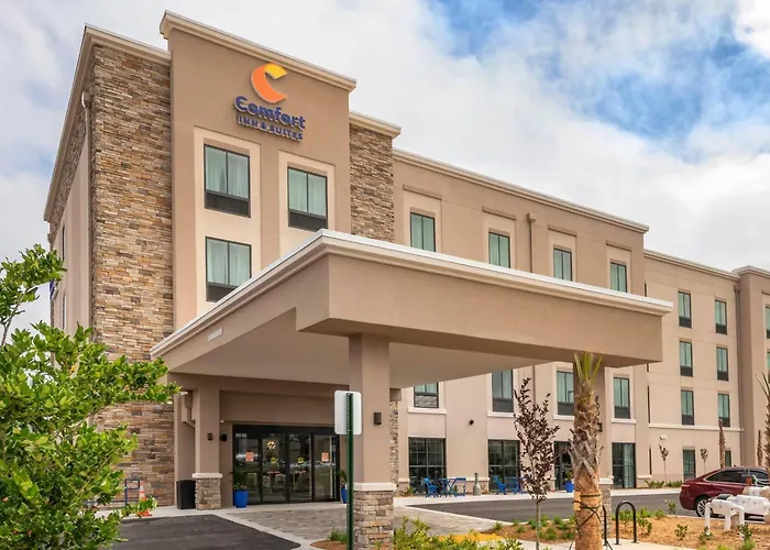 Comfort Inn & Suites Jacksonville - Orange Park Near Naval Air Station