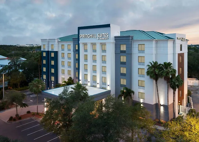 Springhill Suites By Marriott - Tampa Brandon