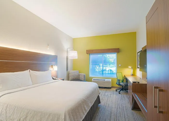 Holiday Inn Express & Suites Tampa-Usf-Busch Gardens By Ihg