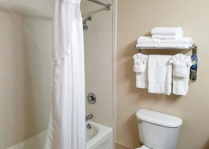 Holiday Inn Express Hotel & Suites Orange City - Deltona By Ihg