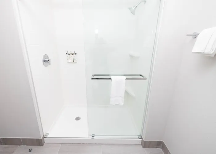 Holiday Inn Express & Suites Tampa Stadium - Airport Area By Ihg