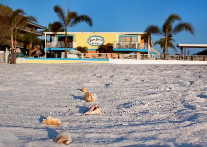 Plaza Beach Hotel - Beachfront Resort St. Pete Beach